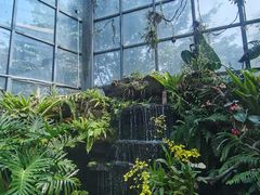 -东莞植物园