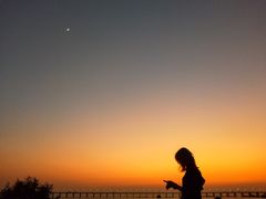 -宝安西湾红树林湿地公园