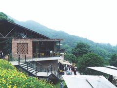 -远山有窑