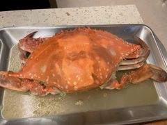 -白仁仔· 活烤海鲜 宵夜(豫园店)