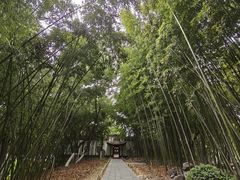 -包公祠