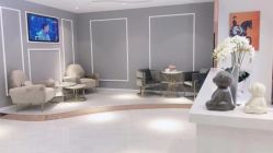 -MIVI半永久纹眉纹绣