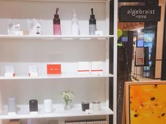 -代数学家algebraist(诚品店)