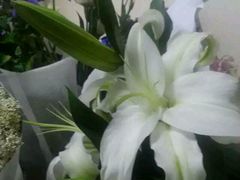 android_upload_pic-万达广场(大明宫店)