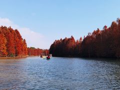 -上海海湾国家森林公园