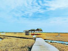 -红海滩国家风景廊道