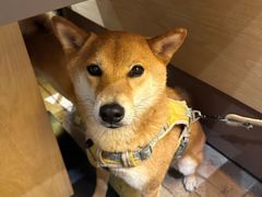 -山缓缓火锅(苏州仁恒仓街店)