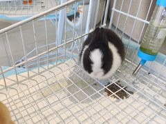 -怪兽屋·羊驼·猫咖·狗咖(俊华广场店)