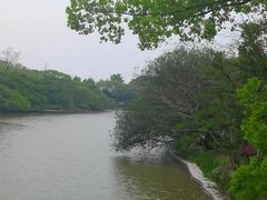 -江心屿景区