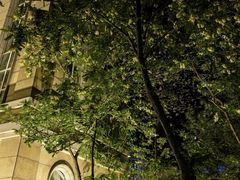 -绿岛公园(滨海新区)