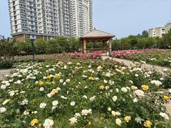 -哈尔滨工业大学(威海校区)