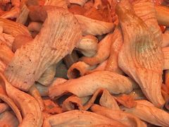 -雷氏板鸭(红照壁南街店)