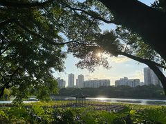-南宁南湖公园
