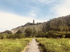 -南沙蒲洲花园
