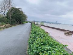 -上海滨江森林公园