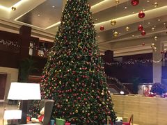 -苏州金鸡湖大酒店