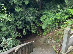 -龙泉洞(沙坪坝区)