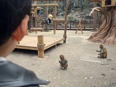 -千岛湖东南湖区