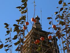 -北京石刻艺术博物馆(五塔寺)