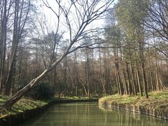 -同里国家湿地公园