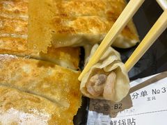 -大眼锅贴饺子(河西店)