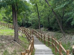 -白水寺森林公园