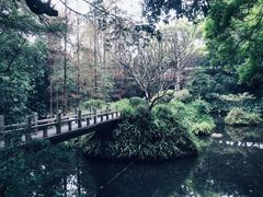 -广州兰圃