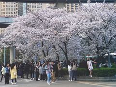 -南浦大桥长途旅游客运站