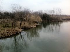 -溱湖国家湿地公园