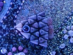 -海合安青岛极地海洋公园