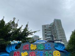 -海合安成都极地海洋公园