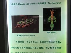 -上海昆虫博物馆