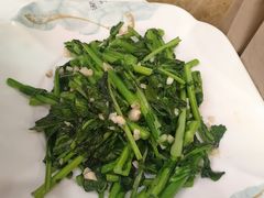 板蓝根-丰尔粥食·粥底火锅(大良总店)