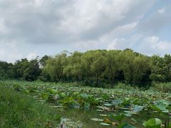 -新江湾城公园