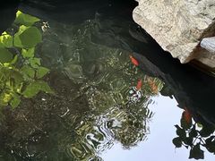 -谷咖啡·鲜花绿植花园餐厅