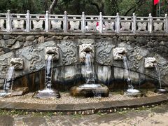 -蝴蝶泉公园