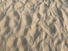 -玫瑰海岸文化旅游度假区