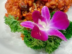 -贵宾庄炸酱面·韩式料理(高区店)