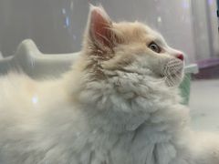 -昆山招商花园城