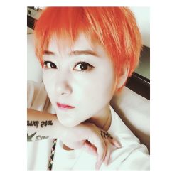 -MY HAIR ARDOR