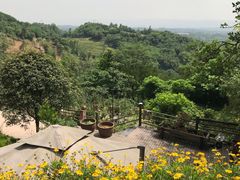 -远山有窑