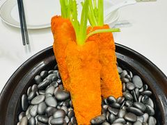 -丁老爷子苏香圆