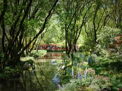 -上海共青森林公园