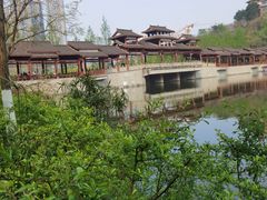 -重庆彩云湖湿地公园