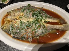 焗大黄鱼-真爱中国餐馆·年华店(朱雀大街店)