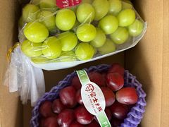 -马陆小张葡萄园农家乐