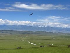 -新疆那拉提国家旅游度假区
