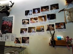 -平行世界·猫咖(首经贸店)