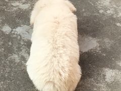 -TOUCH泰奇(南汇南门大街店)