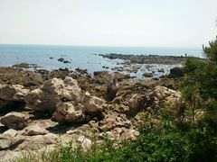 android_upload_pic-大连金石滩滨海国家地质公园